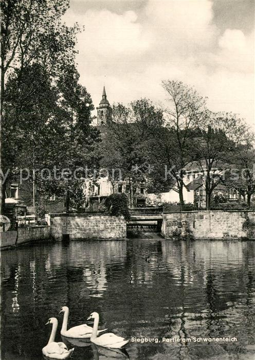 Siegburg Schwanenteich
