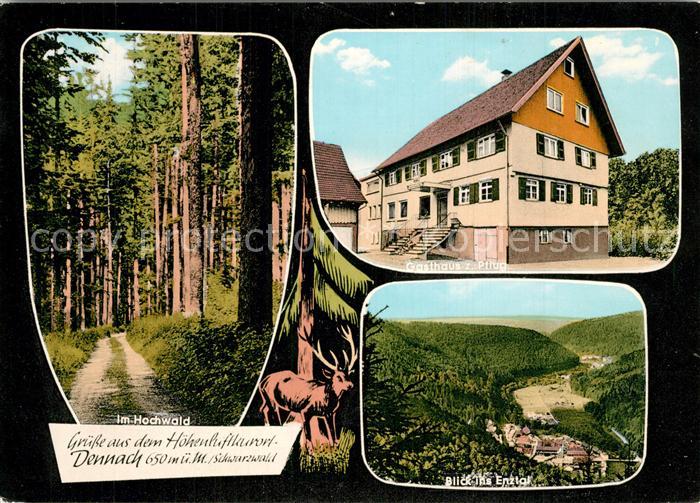 Dennach Neuenbuerg Partie im Hochwald Hirsch Panorama Blick ins Enztal Gasthaus