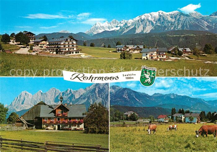 Rohrmoos Schladming Blick gegen das Dachsteinmassiv Bauernhof Viehweide Kuehe