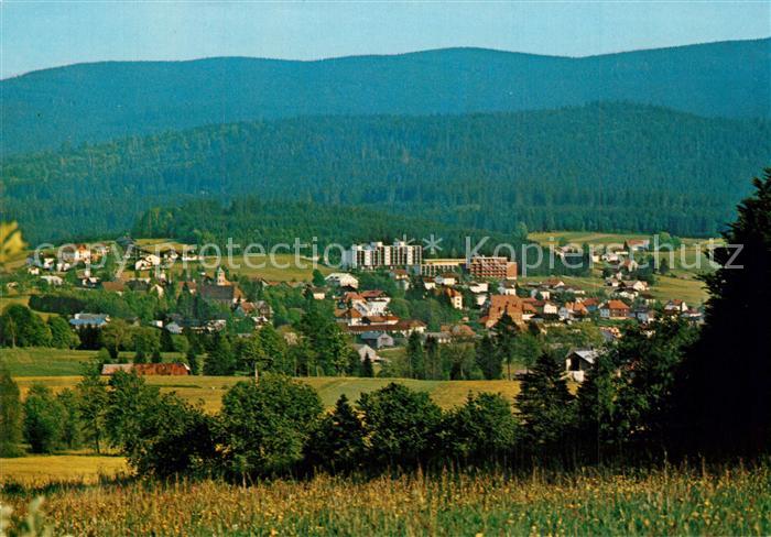 Haidmuehle Panorama am Dreisessel