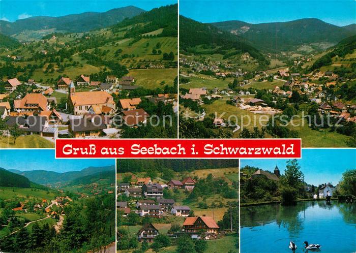 Seebach Ortenaukreis Panorama Seepartie