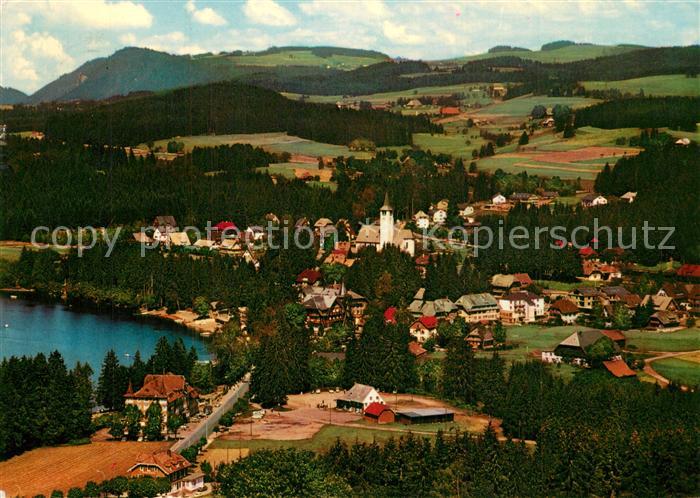 Titisee Panorama