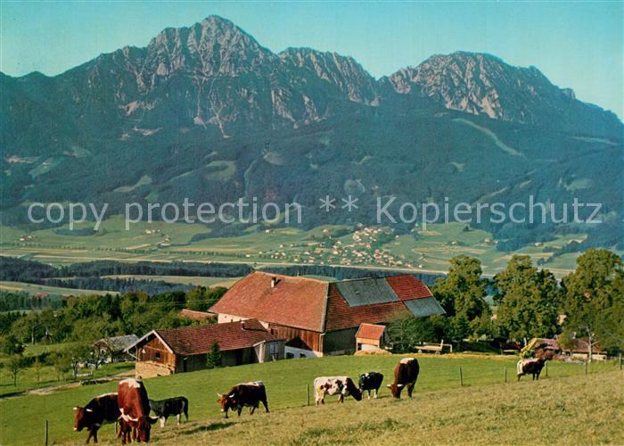 Aufham Anger Strobl Alm am Hoegel mit Hochstaufen und Zwiesel