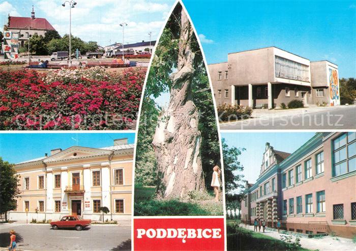 Poddebice Rynek Biblioteka Publiczna Fragment parku ze stara lipa Urzad Miasta L