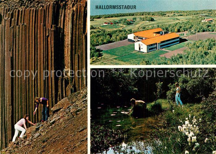 Hallormsstadur Island Sommerhotel Birkenwald S?ulenbasalt