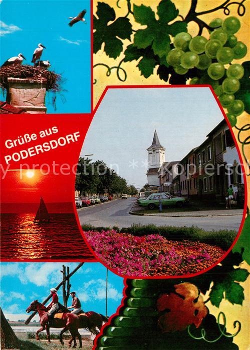 Podersdorf Neusiedler See Weissstorchfamilie Steppensee Pfarrkirche