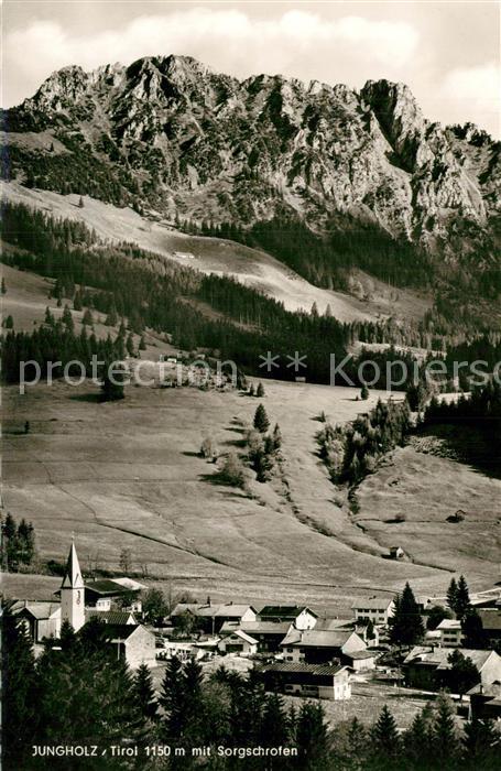 Jungholz Tirol Panorama Blick zum Sorgschrofen Allgaeuer Alpen