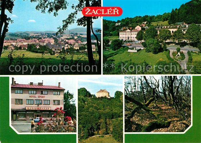 Zacler Panorama Hotel Rathaus Burg Partie im Wald