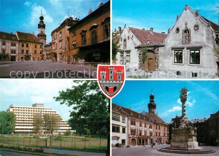 Sopron Oedenburg Marktplatz Altstadt Saeule Park Wohnblock Hochhaus