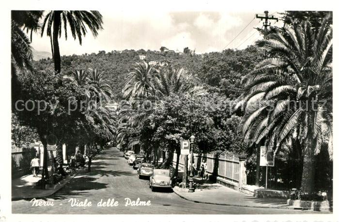 Nervi Viale delle Palme