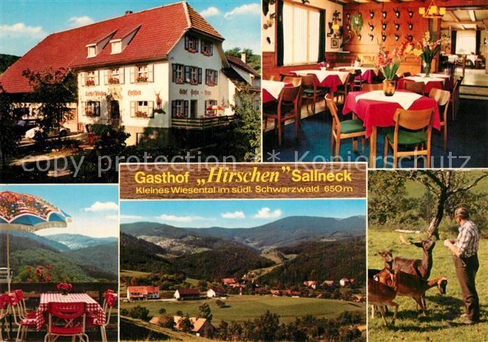 Sallneck Gasthof Hirschen Landschaftspanorama Kleines Wiesental Schwarzwald Rehe