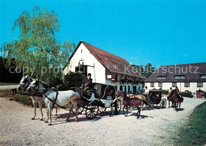 Eigeltingen Hotel Restaurant Cafe Zur Lochmuehle Pferdekutsche Reiten