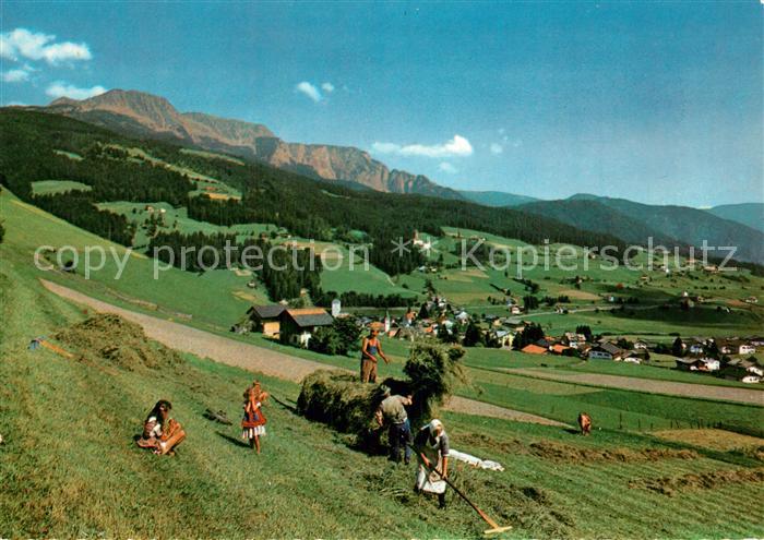Sarnthein Dorf und Burg Reineck mit der Sarnerscharte Landwirtschaft