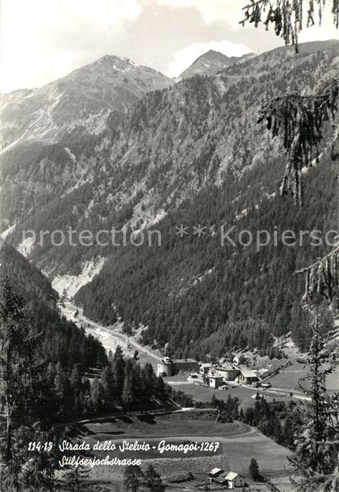 Stilfserjoch Passo dello Stelvio Stilfserjochstrasse