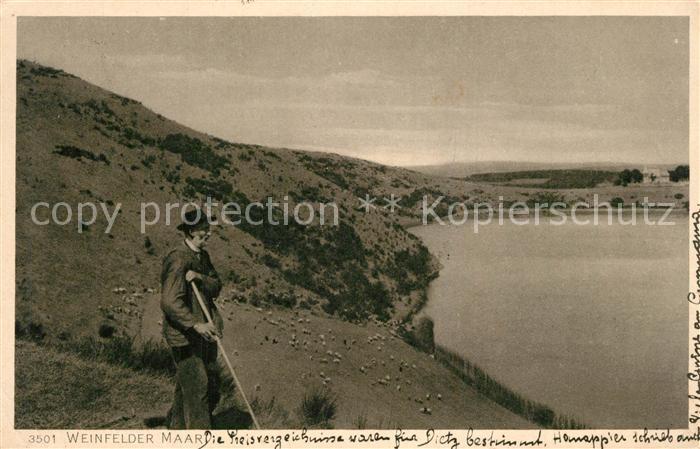 Weinfelder Maar Panorama Schaefer mit Schafherde