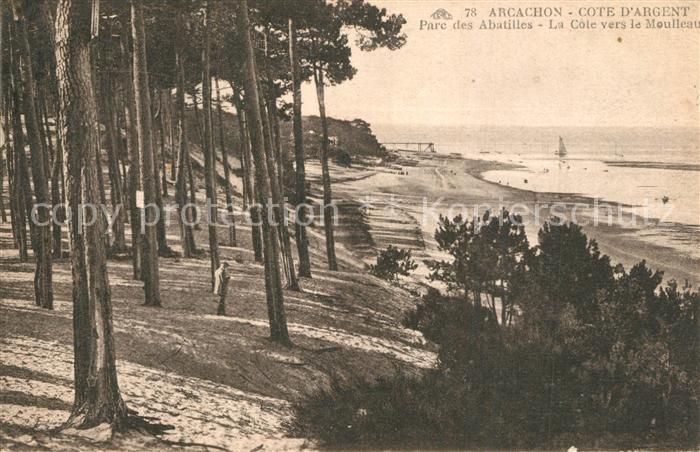 Arcachon Gironde Parc des Abatilles