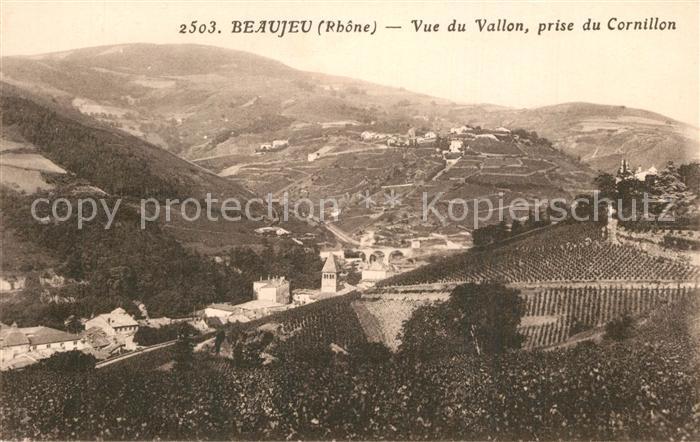 Beaujeu Rhone Vue panoramique du Vallon prise du Cornillon