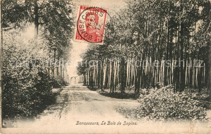 Bonsecours Belgien Bois de Sapins