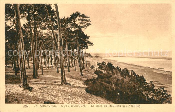Arcachon Gironde La Côte du Moulleau aux Abatilles