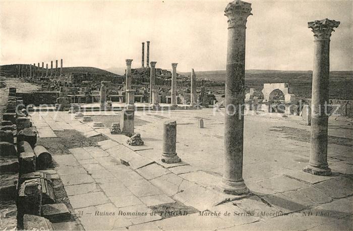 Timgad Ruines Romaines Marché