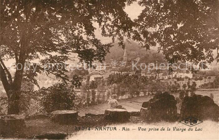 Nantua Vue prise de la Vierge du Lac