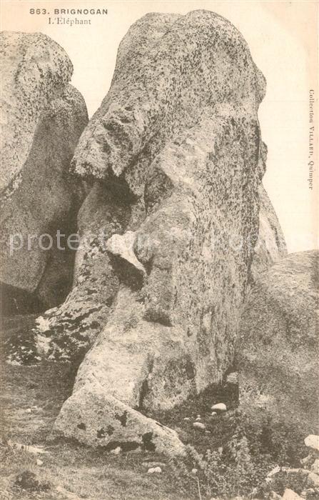 Brignogan 29 Elephant Felsformation