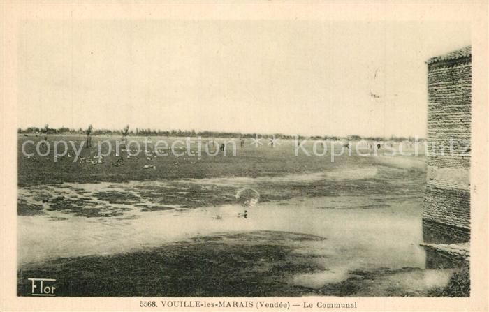 Vouille-les-Marais Le Communal