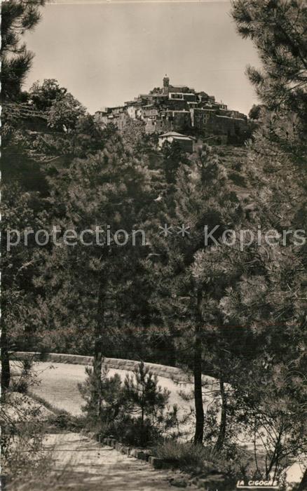 Berre-les-Alpes Vue Generale