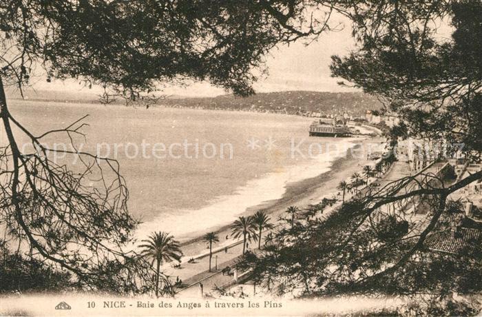 Nice Alpes Maritimes Baie des Anges a travers les pins Côte d Azur