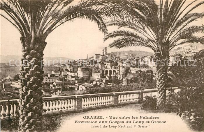 Grasse Alpes Maritimes Vue entre les palmiers