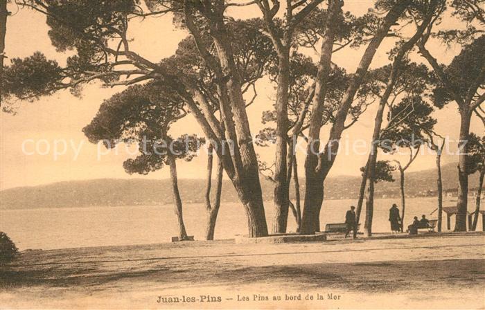 Juan-les-Pins Antibes 06 Les pins au bord de la mer Côte d Azur