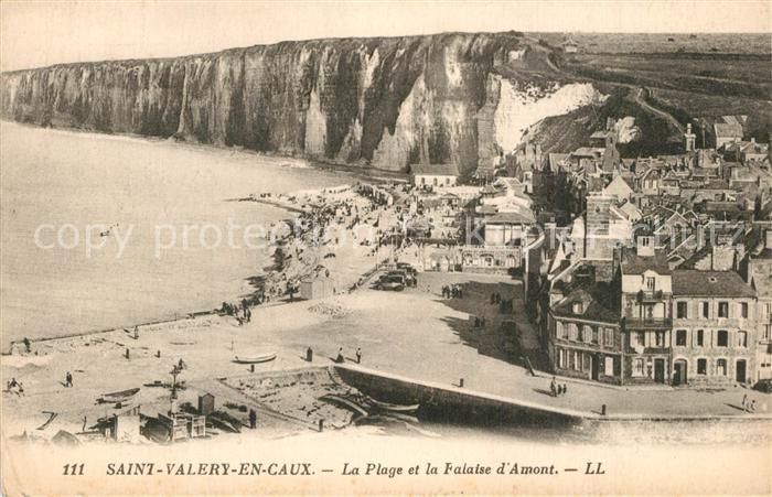 Saint-Valery-en-Caux La plage et la Falaise d Amont vue aérienne