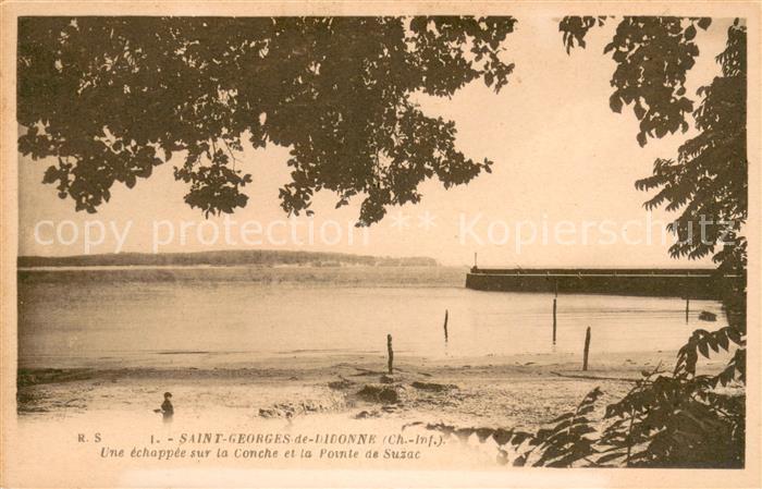 Saint-Georges-de-Didonne Une echappee sur la Conche et la Pointe de Suzac