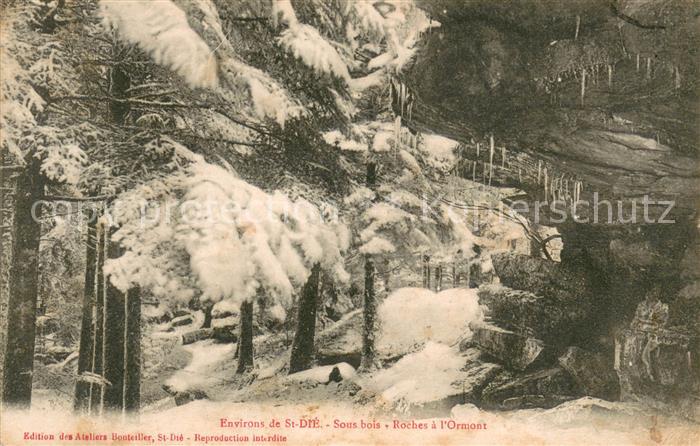 Saint-Die-des-Vosges Sous bois Roches a l'Ormont