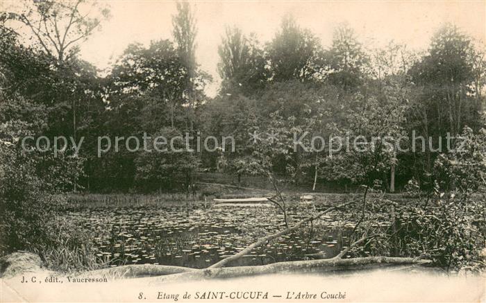 Saint Cucufa Arbre Couche