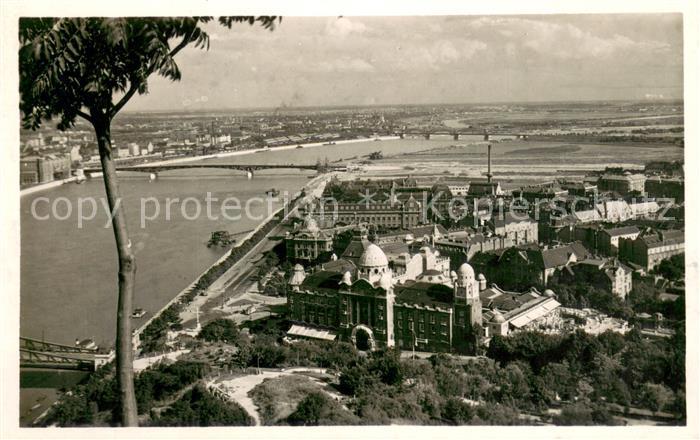 Budapest Blick vom Blocksberg