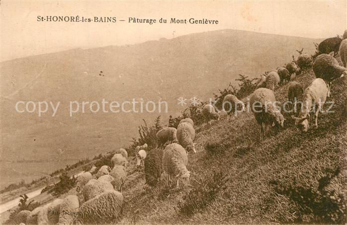 Schafe St.-Honore-les-Bains Paturage du Mont G