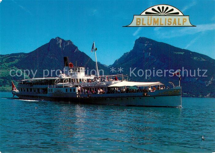 Dampfer Seitenrad Bl?mlisalp Thunersee Sigriswilerrothorn Niederhorn