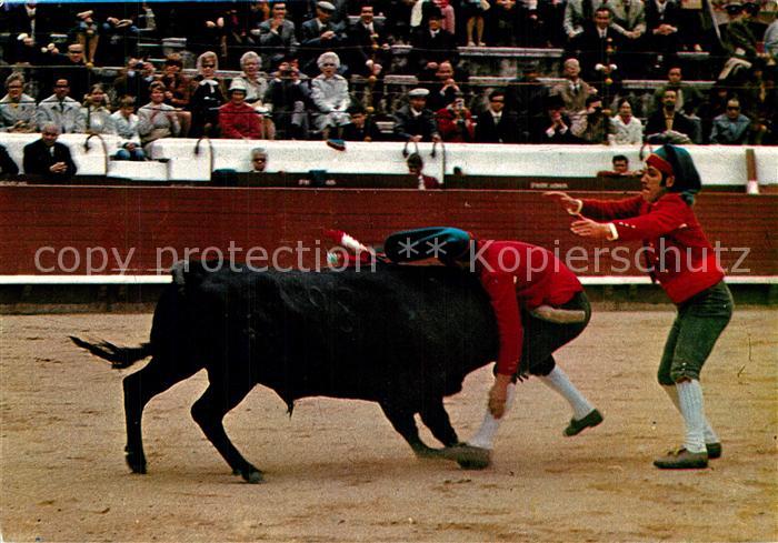 Stierkampf Lisboa Corrida de Touros Actuacao de Forcados