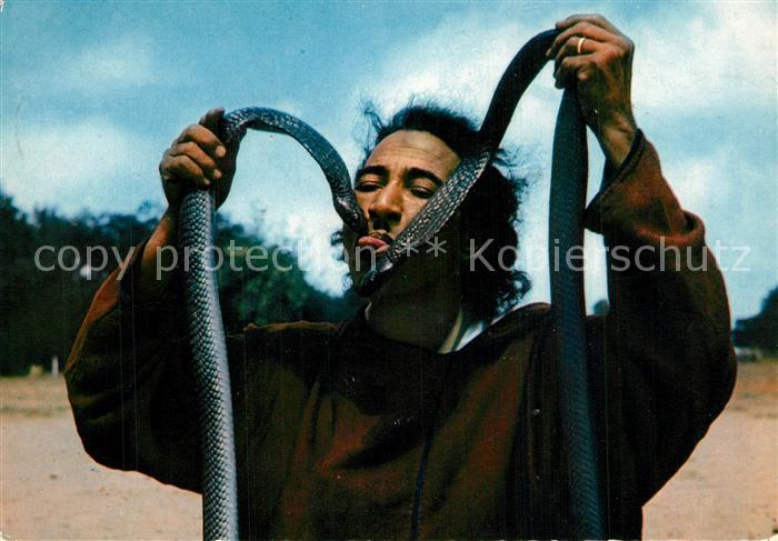 Schlangen Tiere Schlangenbeschw?rer Charmeur de Serpents Maroc