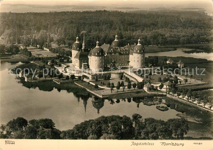Foto Hahn Nr. 10080 Jagdschloss Moritzburg