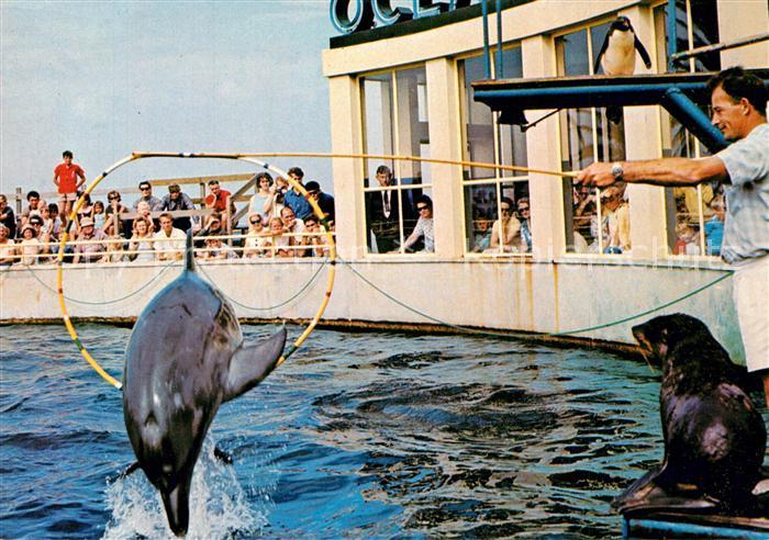 Delfine Delphine Dolphins Dauphins Delfi Port Elizabeth Aquarium Robbe