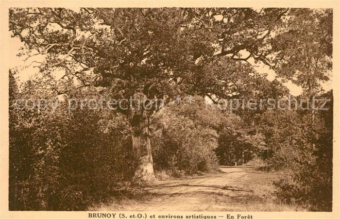 Brunoy et environs artistiques en forêt