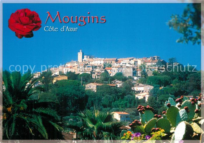 Mougins Vue Generale