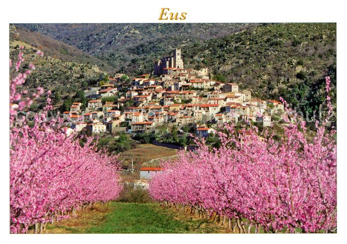 Eus Obstplantage Baumbluete