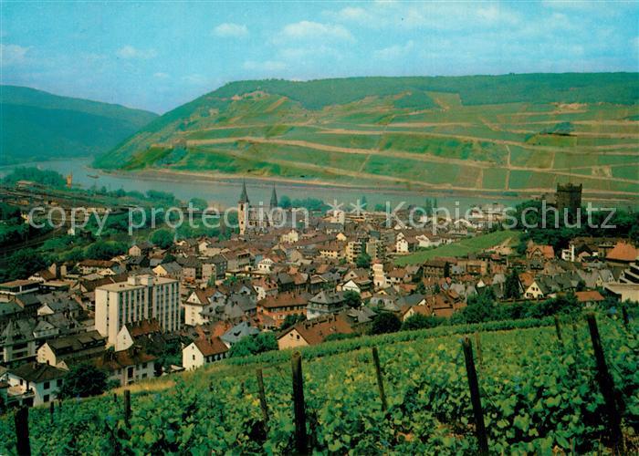 Bingen Rhein Panorama