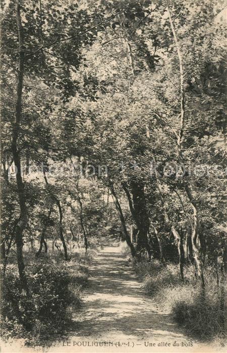 Le Pouliguen Une allée du bois