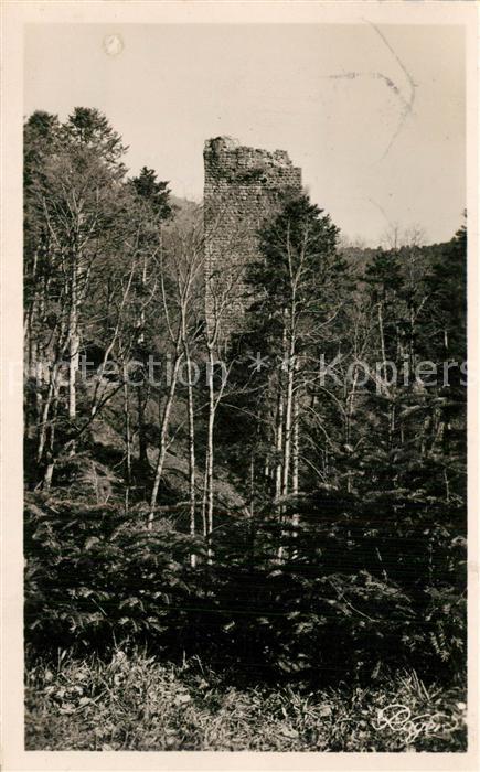 Nideck Ruines du Chateau