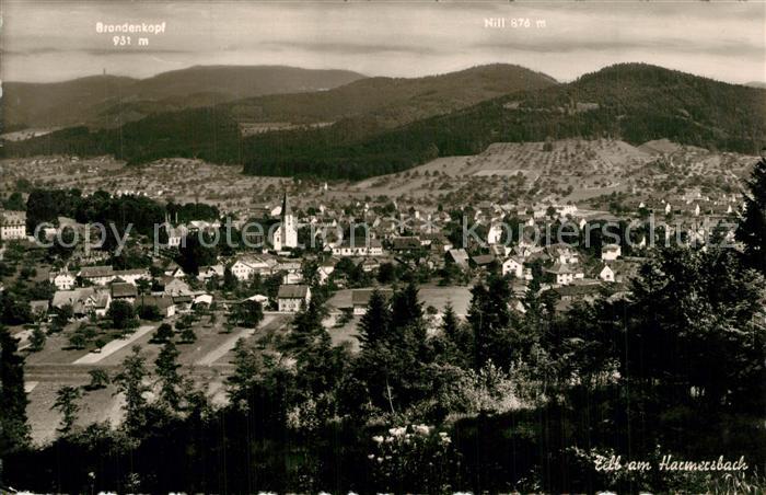 Zell Harmersbach Panorama