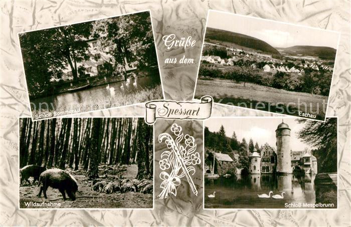 Eschau Unterfranken Schloss Sommerau Wildschweine Schloss Mespelbrunnen